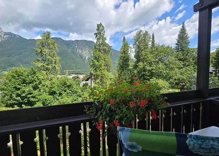 Hotel Alpina
